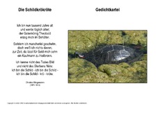 Die-Schildkrökröte-Morgenstern.pdf